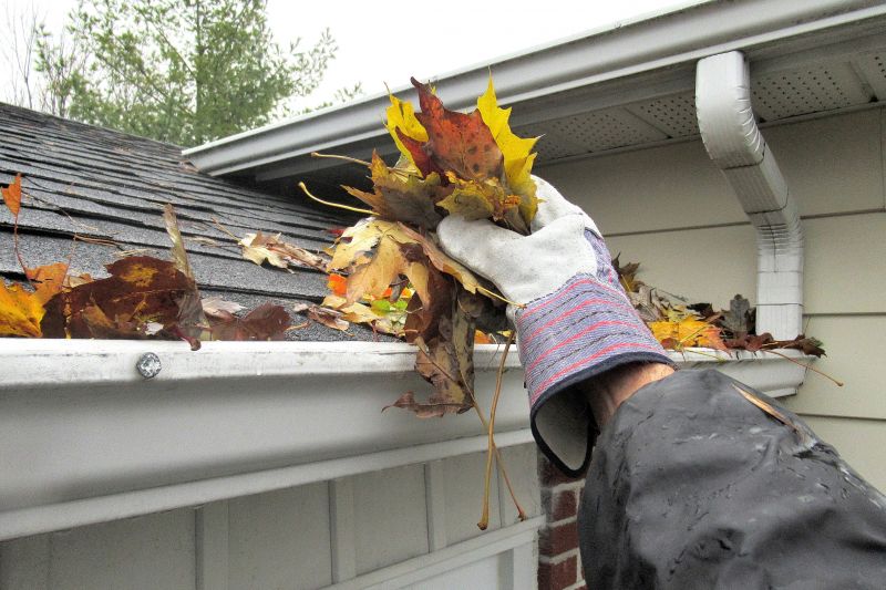Clogged Gutter with Leaves