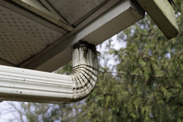 Cost of Roof Drain Replacement in Cedar Rapids